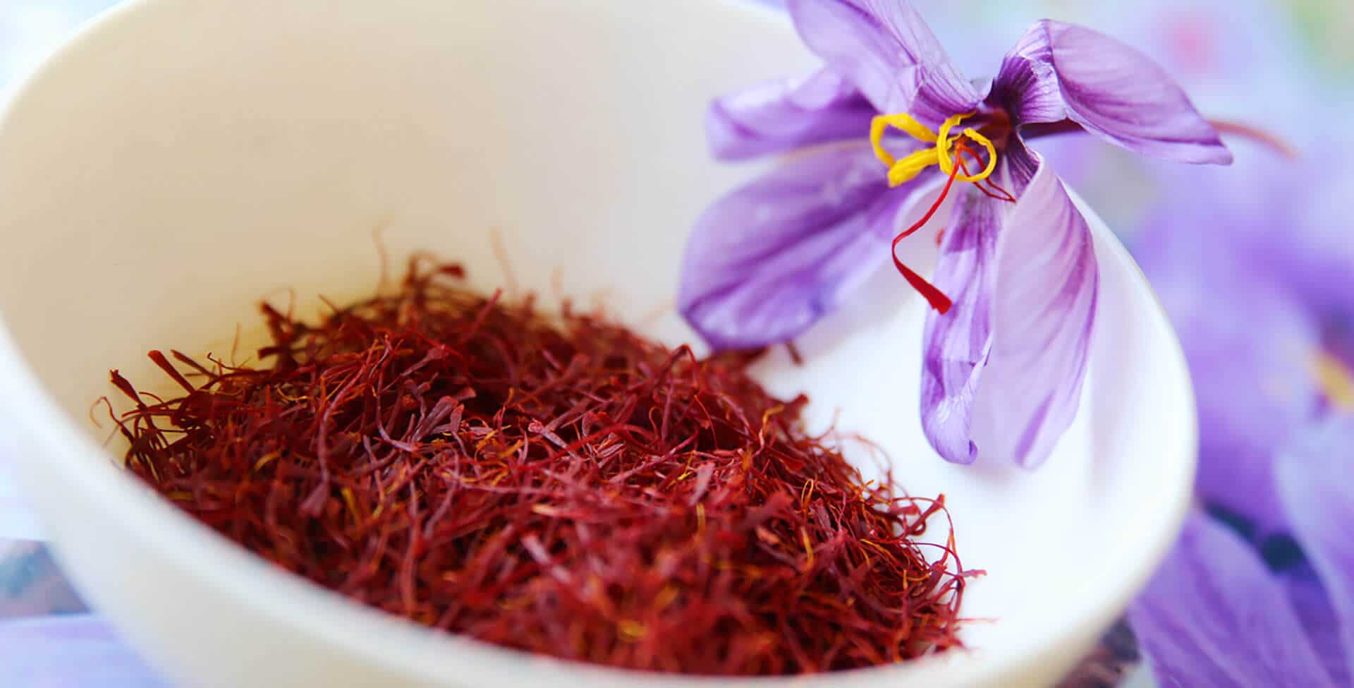 Açafrão: conceito e diferença entre o açafrão-da-terra