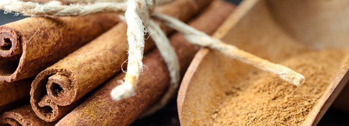 paus de canela e canela em pó em uma colher de madeira