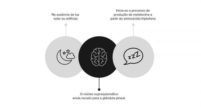 Infográfico do funcionamento do hormônio melatonina durante a noite