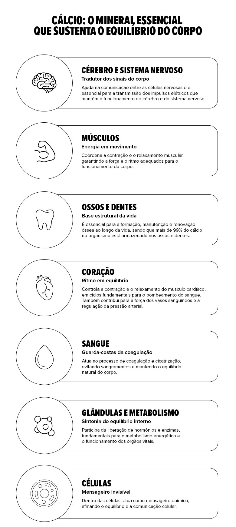 Infográfico sobre como o cálcio sustenta o equilíbrio do corpo, atuando no: cérebro, sistema nervoso, músculos, ossos, dentes, coração, sangue, metabolismo e células.