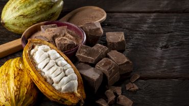 Tabletes de chocolate saudável junto com o fruto do cacau