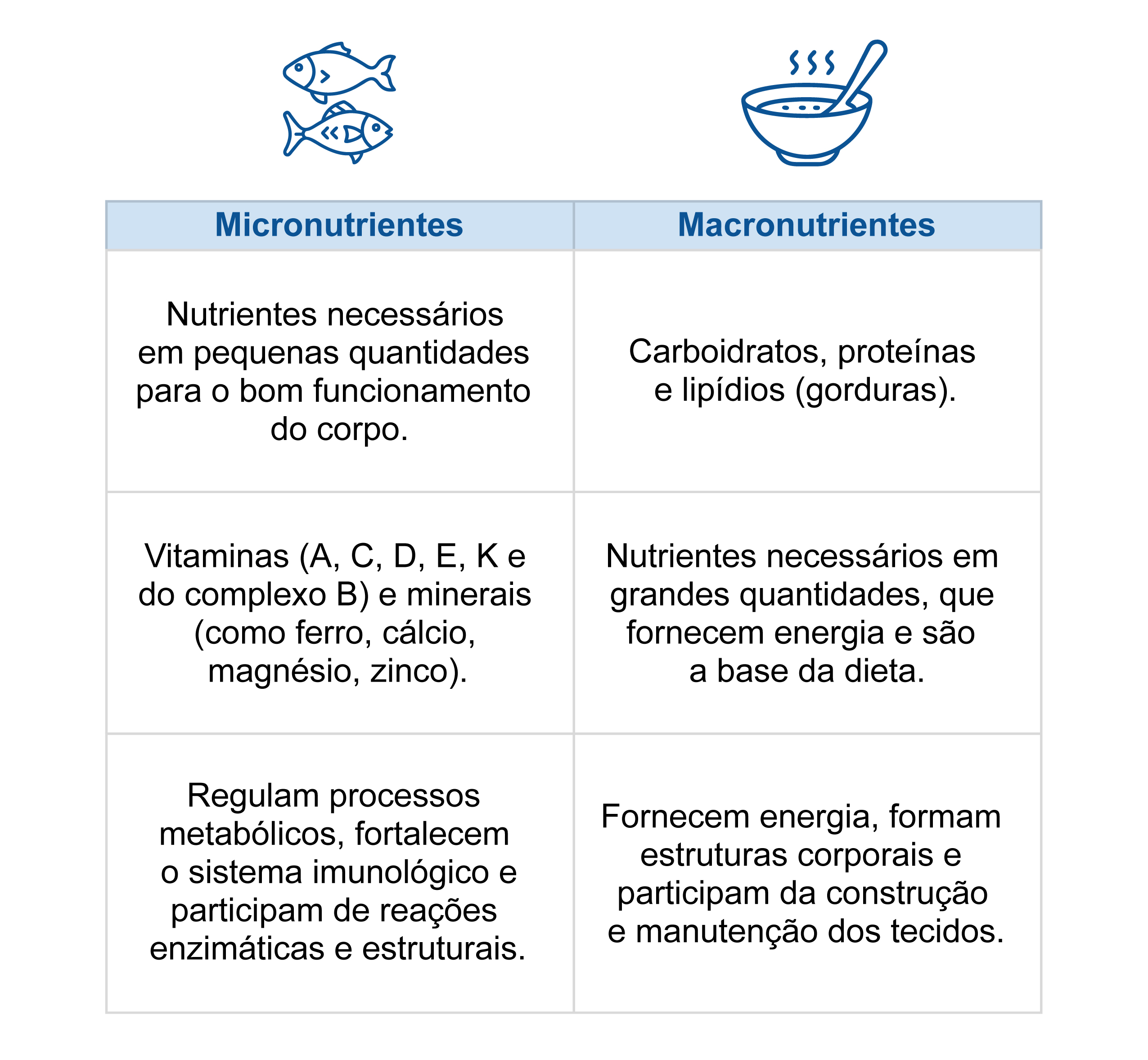 Imagem de uma tabela com micronutrientes e macronutrientes, explicando seus conceitos, atuações e funções no corpo humano.